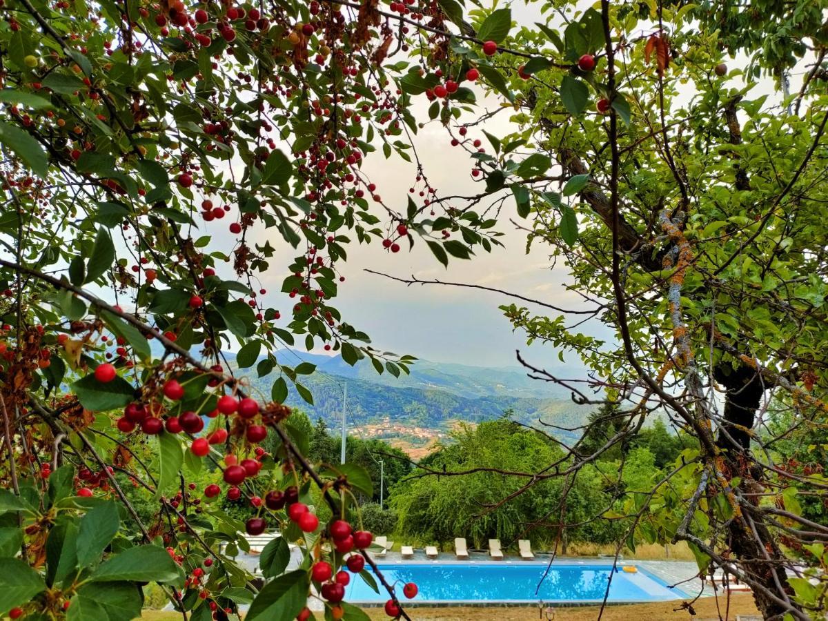 Agriturismo Borgo Biaia Camporgiano Экстерьер фото